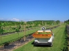 vineyard-cart-2